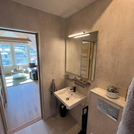 Modern Vaskerelven 12