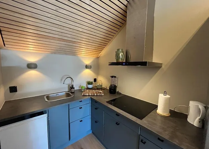 Modern Vaskerelven 12